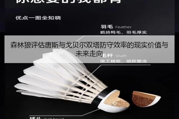 森林狼评估唐斯与戈贝尔双塔防守效率的现实价值与未来走向